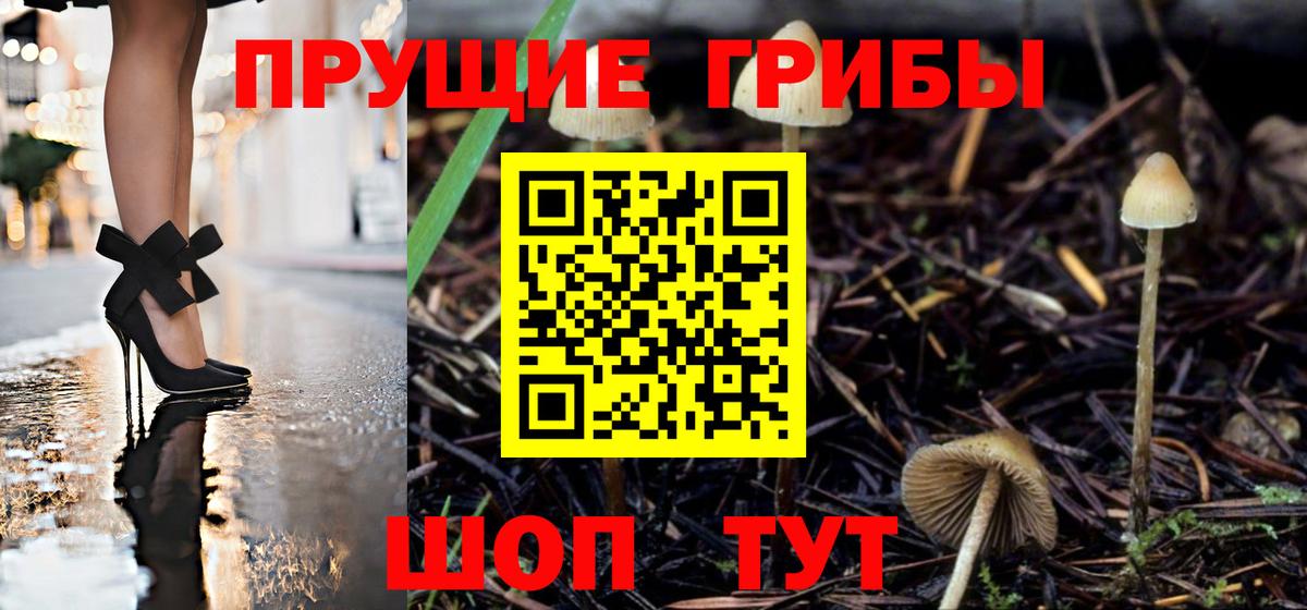 Всеволожск  Псилоцибиновые грибы MAGIC MUSHROOMS  купить наркотик  Вход с VPN 