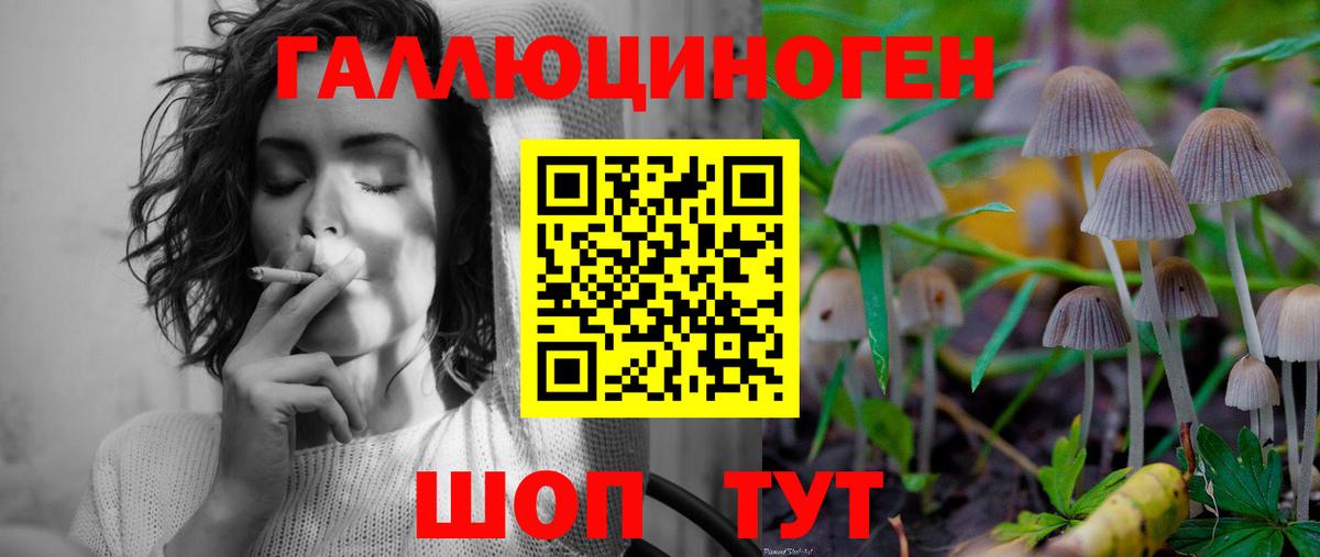 Галлюциногенные грибы Psilocybe Всеволожск